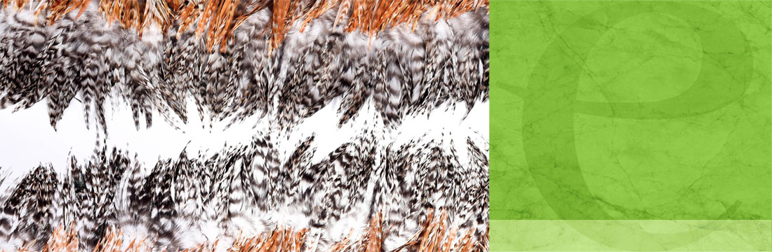 Vogelfedern-Kragen Vogelfedern-Kragen